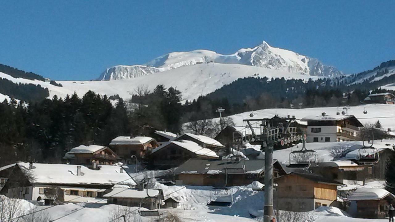 Monte-pente Apartment Megève